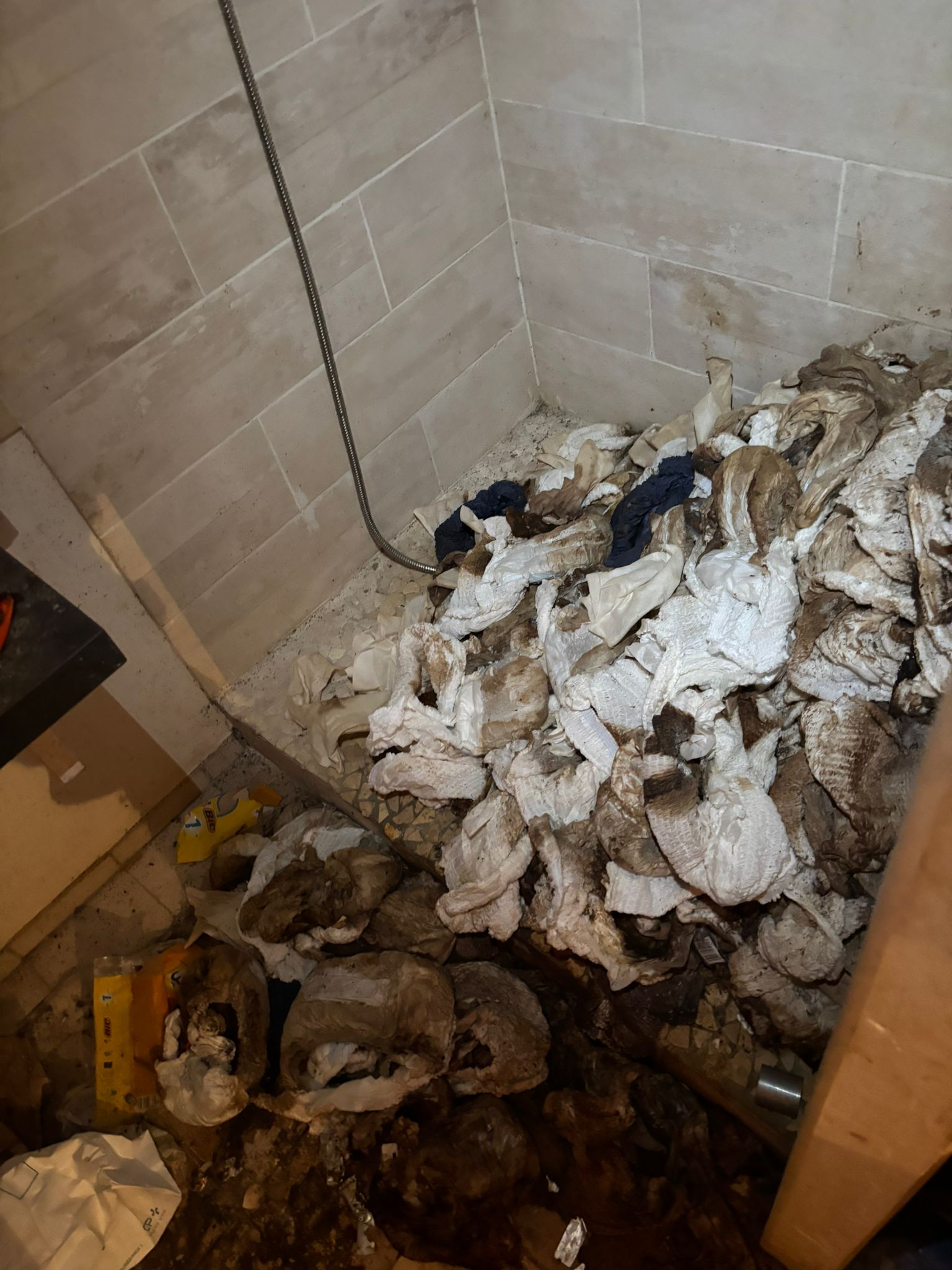 Les étapes clés pour un nettoyage réussi de logements insalubres IMG 20250901 WA0064