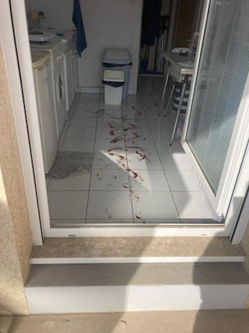 Les défis du nettoyage après un suicide : guide complet WhatsApp Image 2025 10 13 At 19.35.08